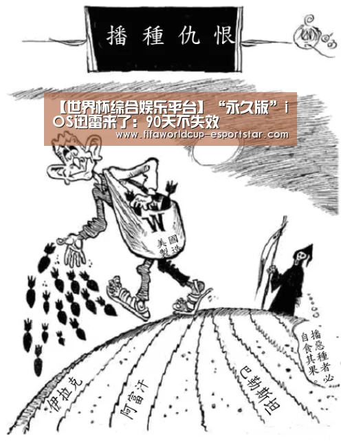 世界杯综合娱乐平台