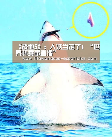 世界杯赛事直播